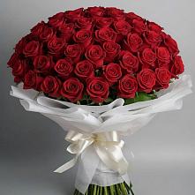 Букет 101 Красная роза Блэк Мэджик в Рудне Воронежской области