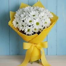 Букет цветов из:  Хризантемы в Рудне Воронежской области