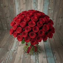 Букет 55 Красных роз Фридом #REPLACE_PRED# Рудне Воронежской области