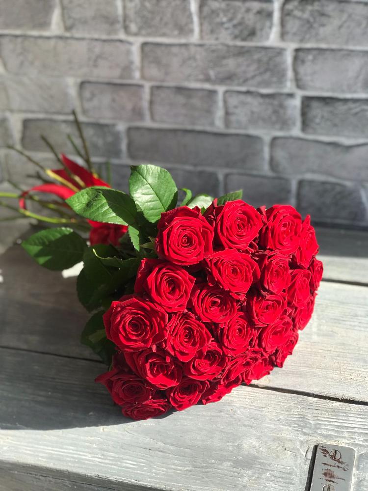 Букет Красные розы Фридом в Рудне Воронежской области