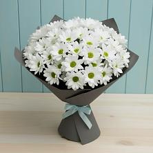 Букет цветов из:  Хризантемы в Рудне Воронежской области