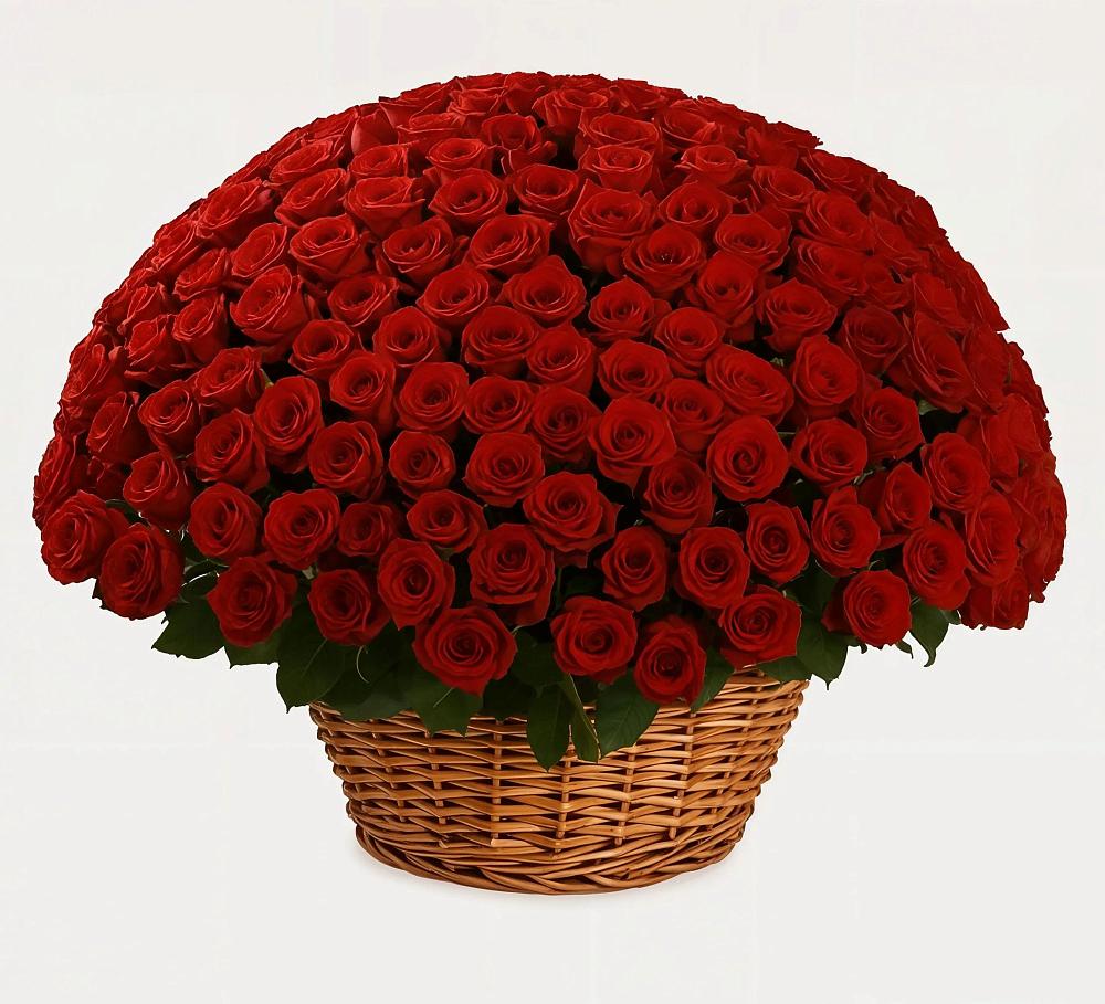 Премиум букет из: Розы в Рудне Воронежской области