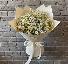Букет цветов из:  Ромашки в Рудне Воронежской области