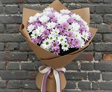 Букет цветов из:  Хризантемы в Рудне Воронежской области