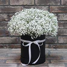 Цветочная композиция из Гипсофила в шляпной коробке #REPLACE_PRED# Рудне Воронежской области