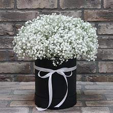 Цветочная композиция из Гипсофила в шляпной коробке в Рудне Воронежской области